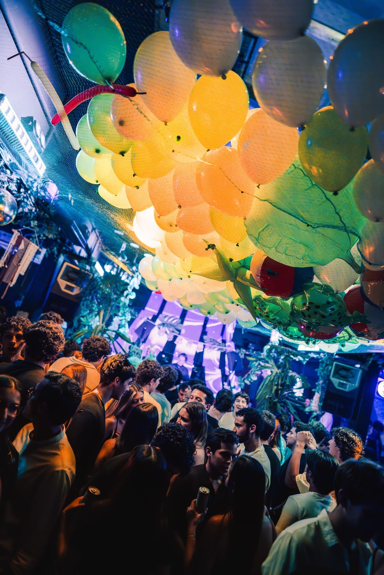 XL Nights #2 6