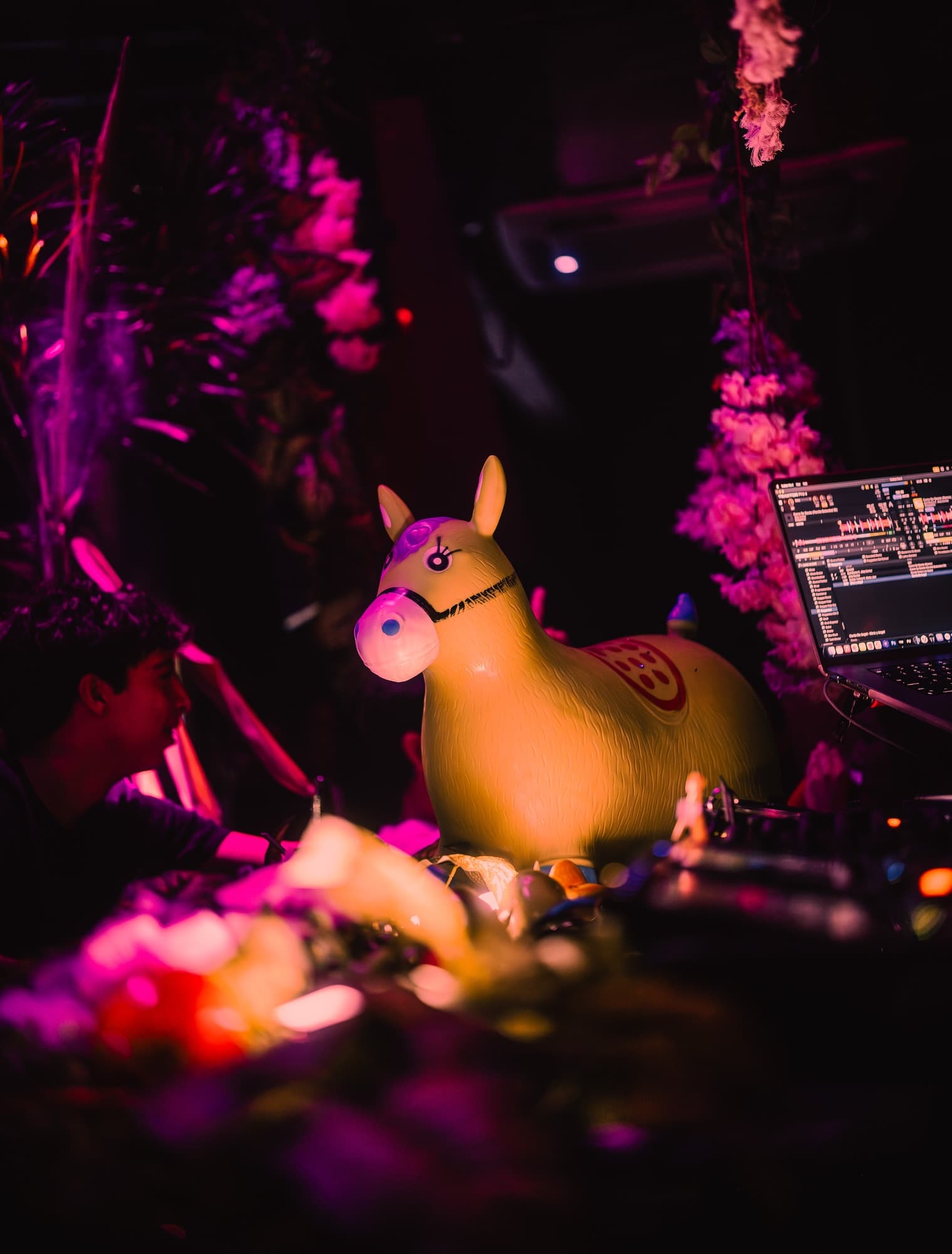 XL Nights #2 15