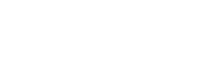 Morph Nights